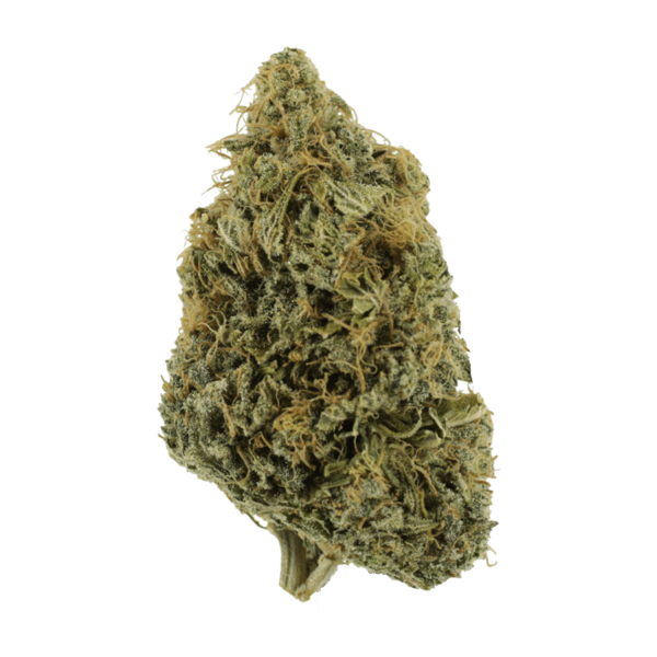 NYC Diesel | The Healing Co Canada