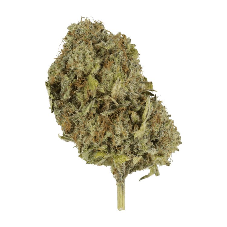 God’s Green Crack | The Healing Co Canada God’s Green Crack | The Healing Co Canada