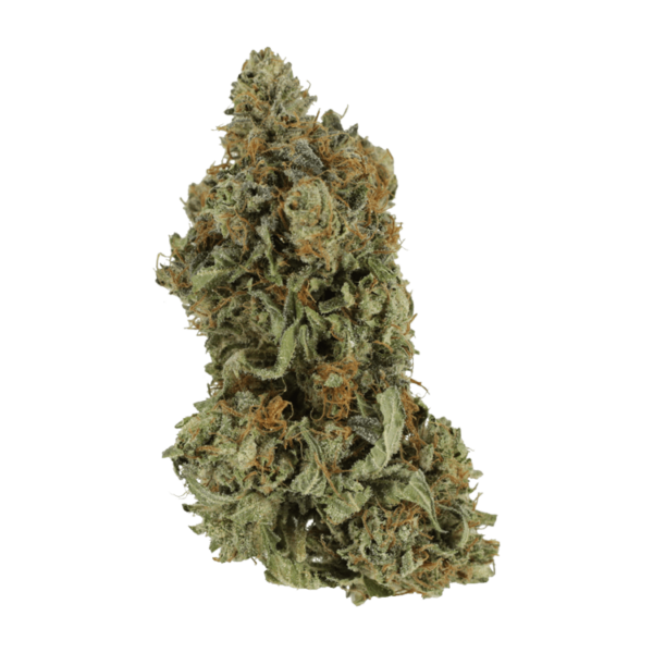 Bruce Banner #3 | The Healing Co Canada