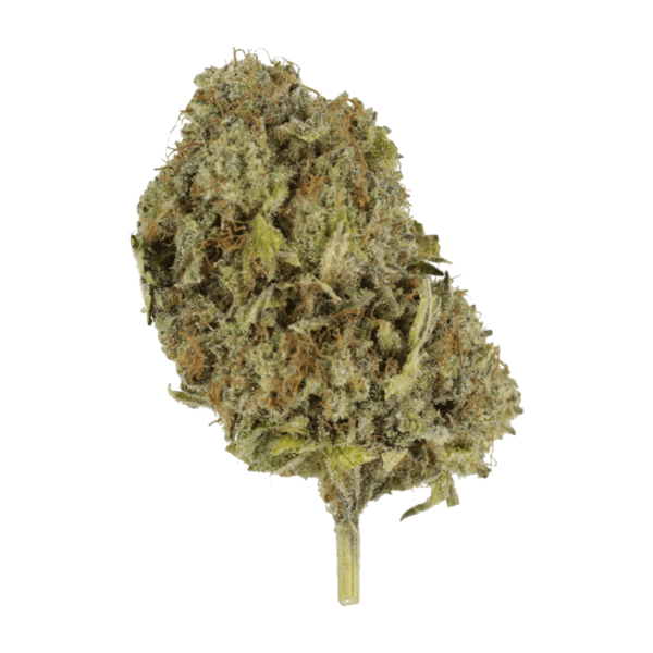 Chemo | The Healing Co Canada
