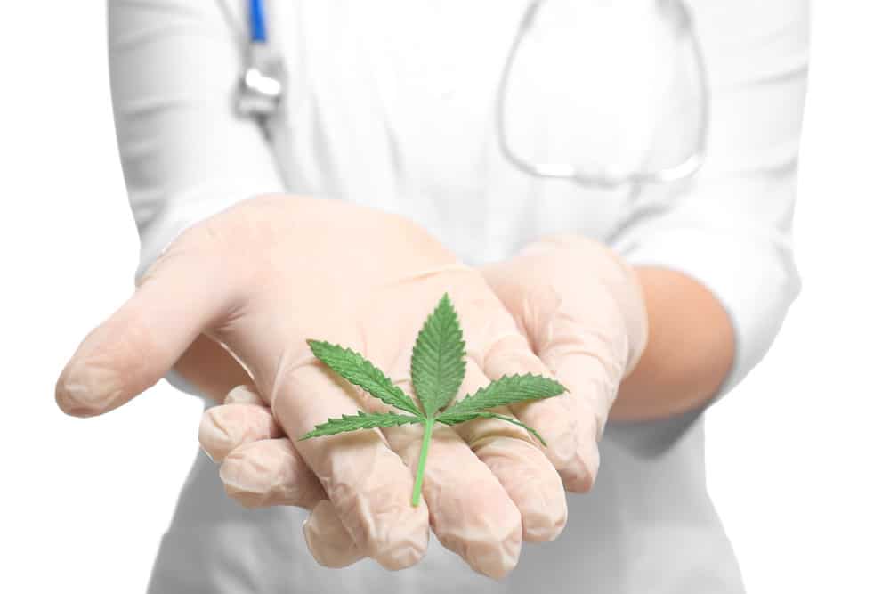 Cannabis as a natural cure for pain | The Healing Co Canada