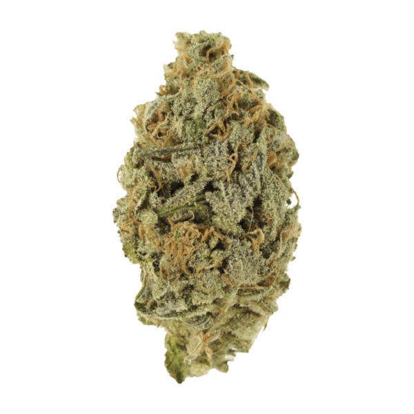 Lavender | The Healing Co Canada