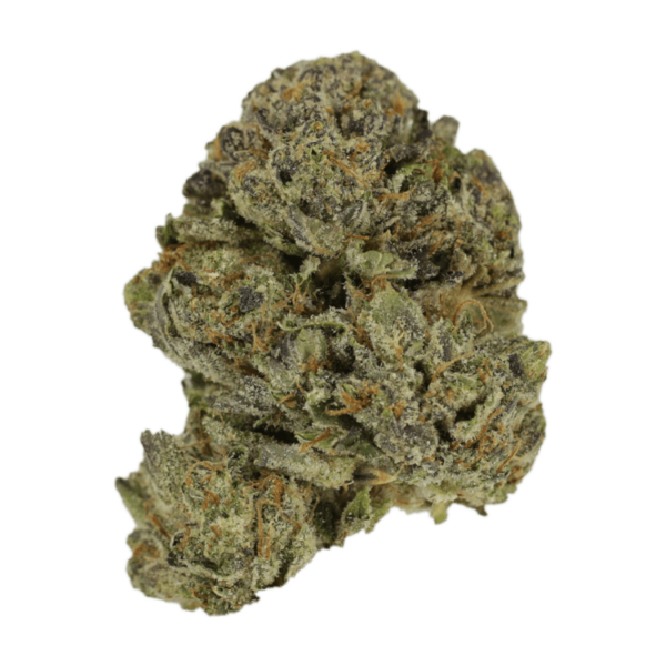 Lavender | The Healing Co Canada