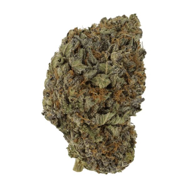 Black Diamond | The Healing Co Canada
