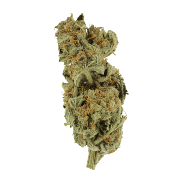 Gorilla Glue | The Healing Co Canada