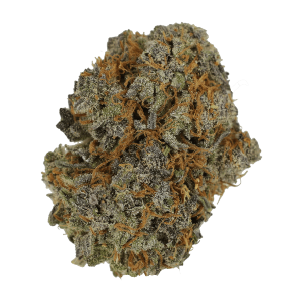 Jack Herer 1 Ounce | The Healing Co Canada