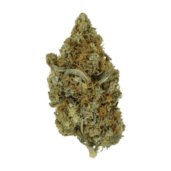 Jack Herer 1 Ounce | The Healing Co Canada