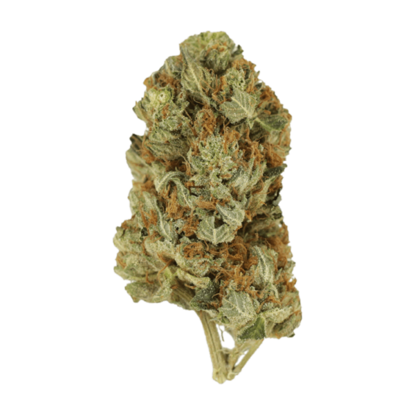 Jet Fuel | The Healing Co Canada