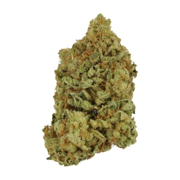 Blueberry | The Healing Co Canada