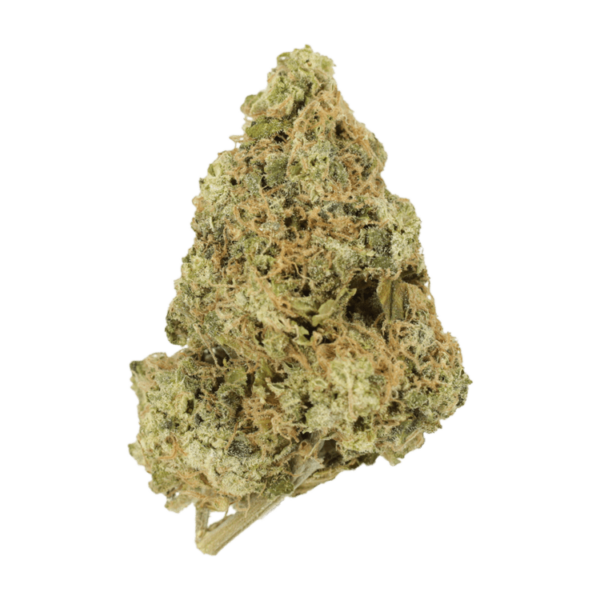 Zombie OG | The Healing Co Canada