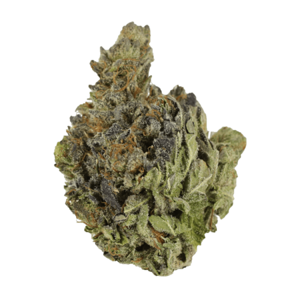 Chocolope | The Healing Co Canada
