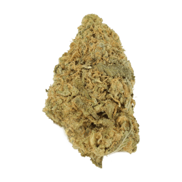 Zombie OG | The Healing Co Canada