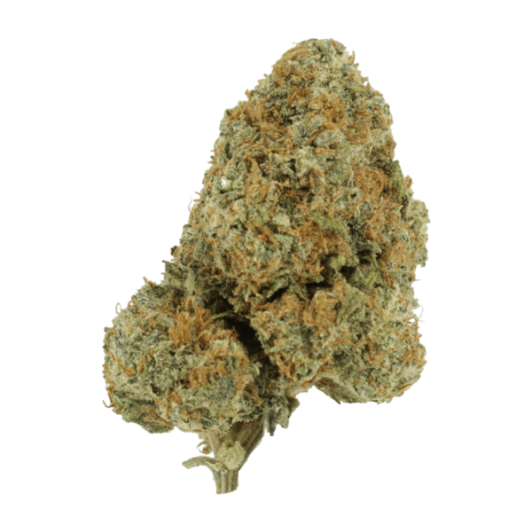 Blue Rhino | The Healing Co Canada