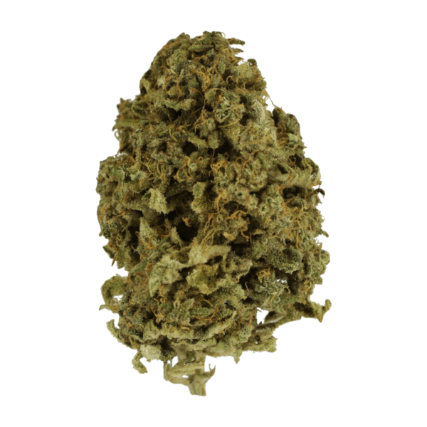 Nebula | The Healing Co Canada