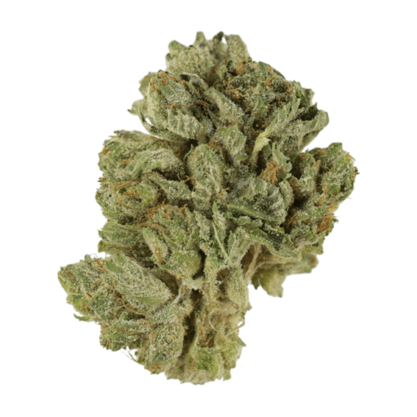 Northern Lights 2 for $69 | The Healing Co Canada