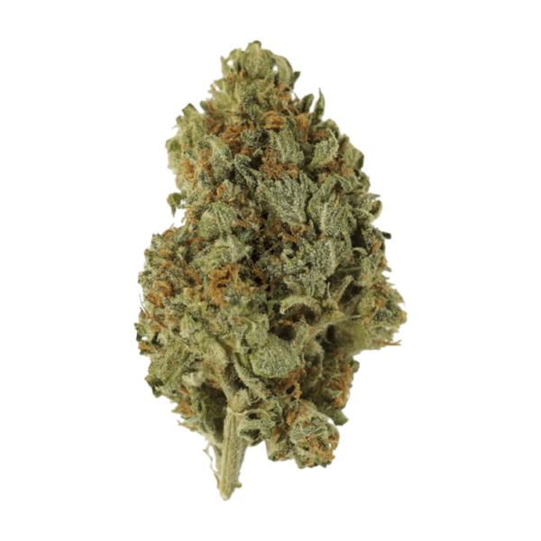 Sugar Cookies | The Healing Co Canada