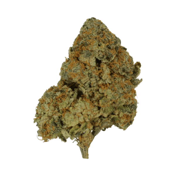 9lb Hammer | The Healing Co Canada