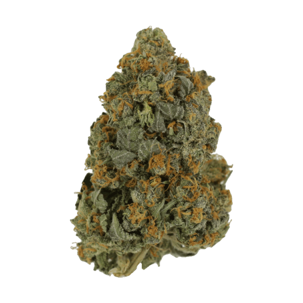 Skunkberry – 1 ounce | The Healing Co Canada