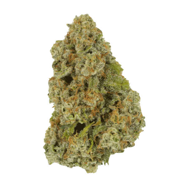 Colorado Diesel | The Healing Co Canada