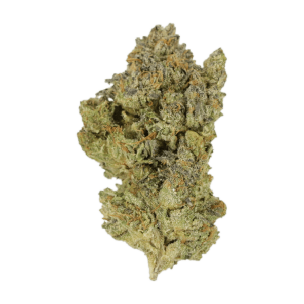 Golden Goat | The Healing Co Canada