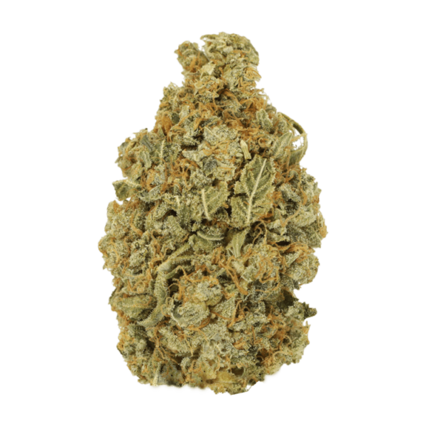 Maui Wowie | The Healing Co Canada
