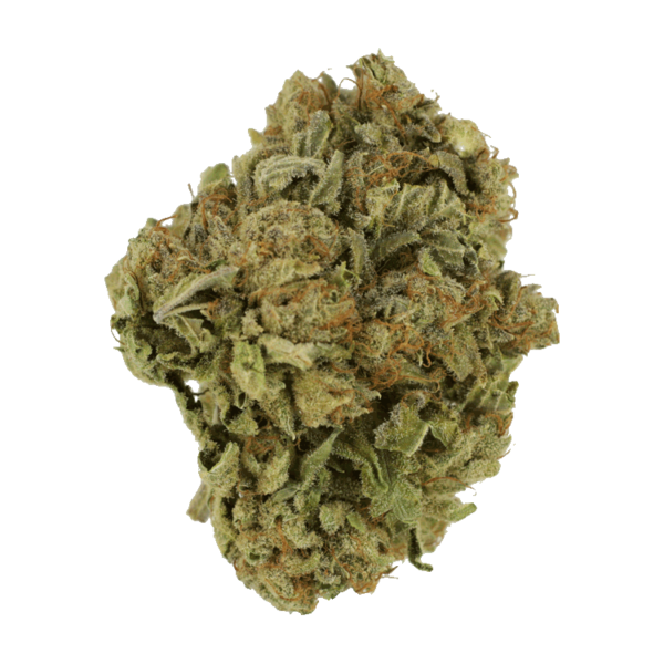 White Castle | The Healing Co Canada
