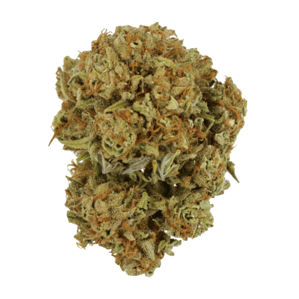 Maui Wowie | The Healing Co Canada