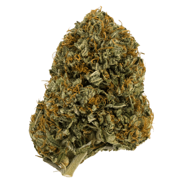 Wifi OG – 1 ounce | The Healing Co Canada