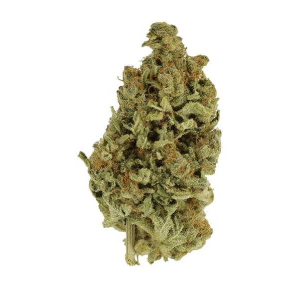 Cali Gold | The Healing Co Canada