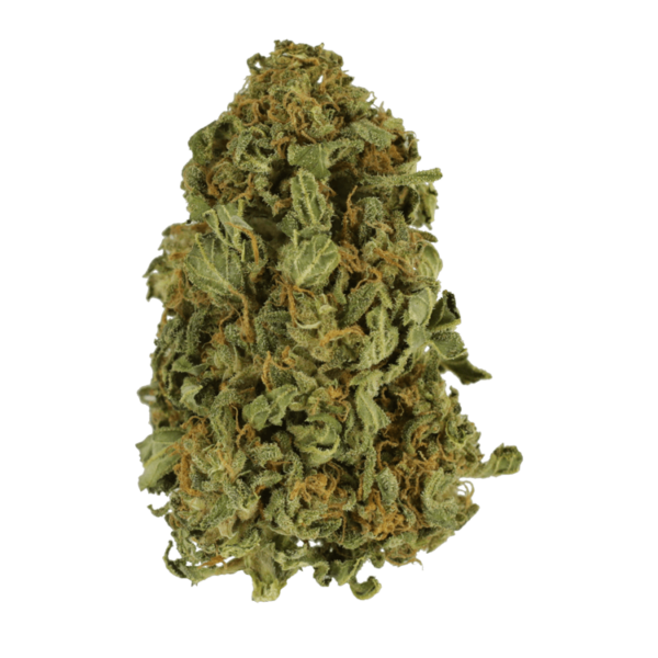 Apricot Kush – $35/oz | The Healing Co Canada