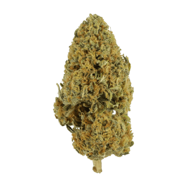 Grapefruit – 1 ounce | The Healing Co Canada
