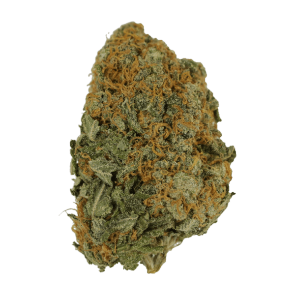 Master Kush Ultra | The Healing Co Canada