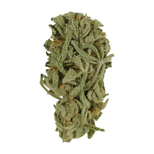 Master Kush Ultra | The Healing Co Canada