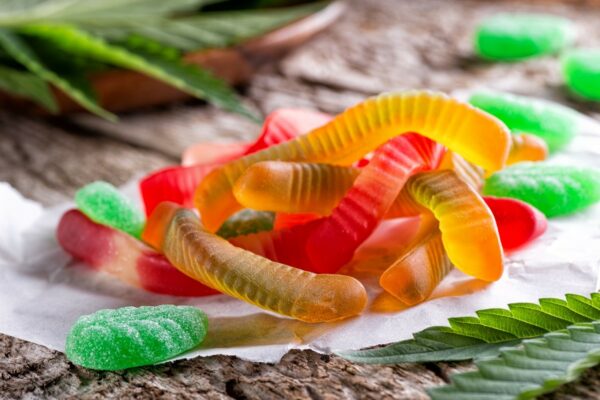 MOTA Edibles Bundles – SAVE 10% | The Healing Co Canada