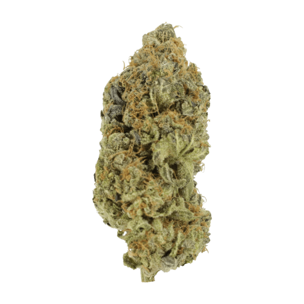 Critical Widow | The Healing Co Canada