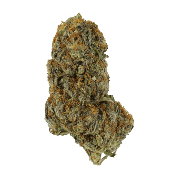 Dojaberry | The Healing Co Canada