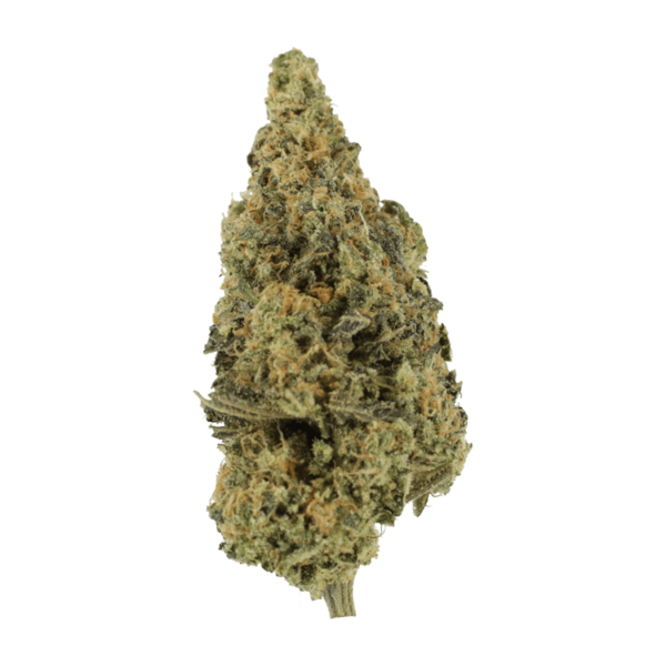 Lava Fuel | The Healing Co Canada