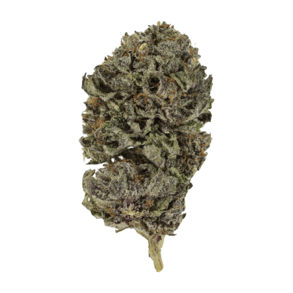 Purple Skunk | The Healing Co Canada