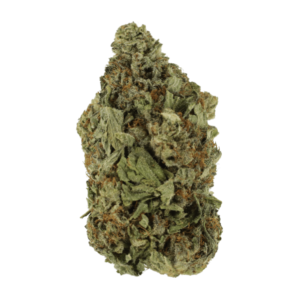 Shishkaberry | The Healing Co Canada