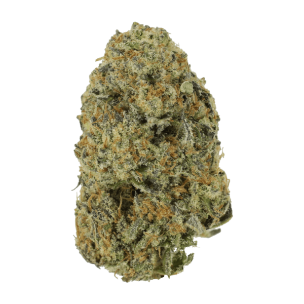 Northern Haze Express | The Healing Co Canada