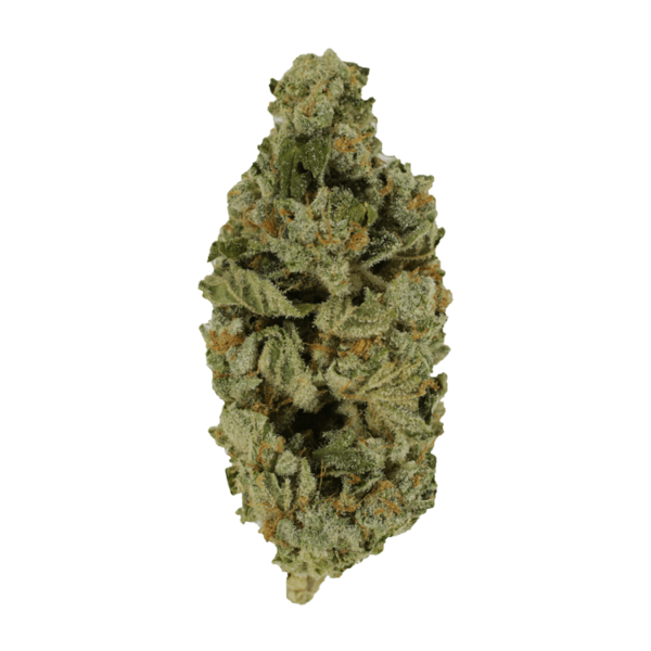 Crazy Glue | The Healing Co Canada