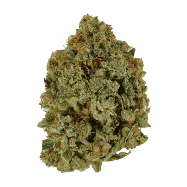 Crazy Glue | The Healing Co Canada