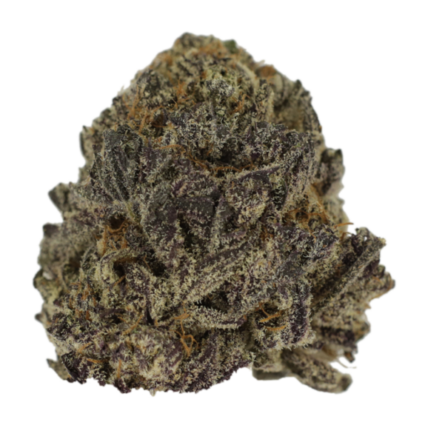 Hawaiian Snow | The Healing Co Canada
