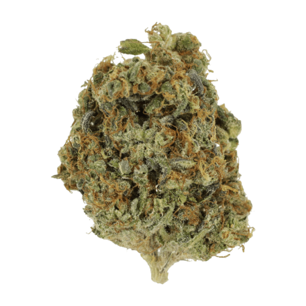 Sunset Sherbert | The Healing Co Canada