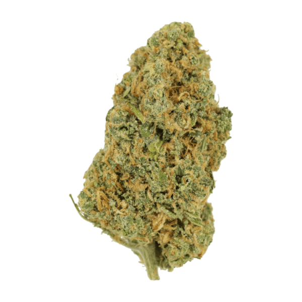 Lemon Bomb | The Healing Co Canada
