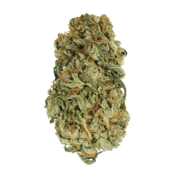 King Louis – 1 ounce | The Healing Co Canada