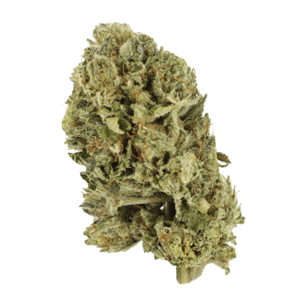 Purple OG Kush – 1 ounce | The Healing Co Canada