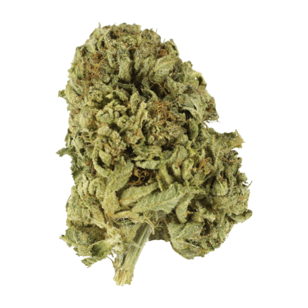 Strawberry Romulan | The Healing Co Canada