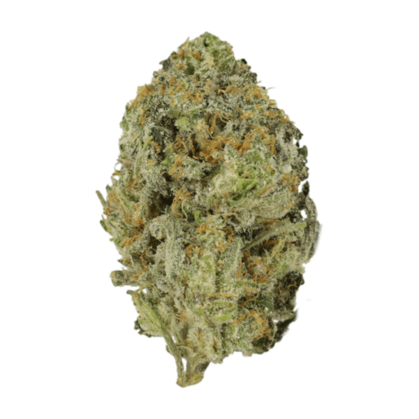 Skywalker OG | The Healing Co Canada