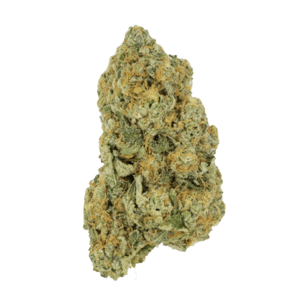 Black Cherry Punch | The Healing Co Canada